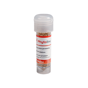 Phytoseiulus persimilis Bioline 1