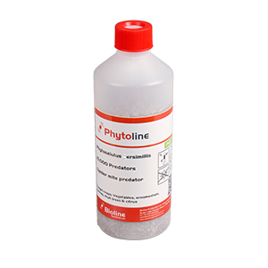 Phytoseiulus persimilis Bioline 3