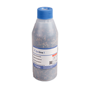 Orius laevigatus Bioline 2