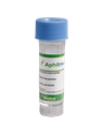Aphidius colemani Bioline 2