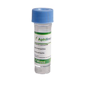 Aphidius colemani Bioline 4
