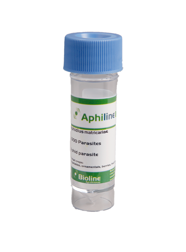 Aphidius Bioline 2
