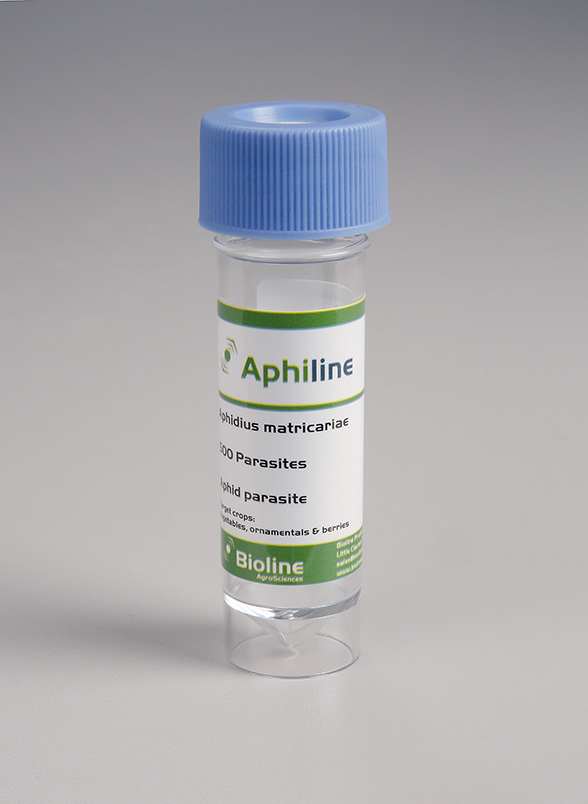 Aphidius Bioline 3