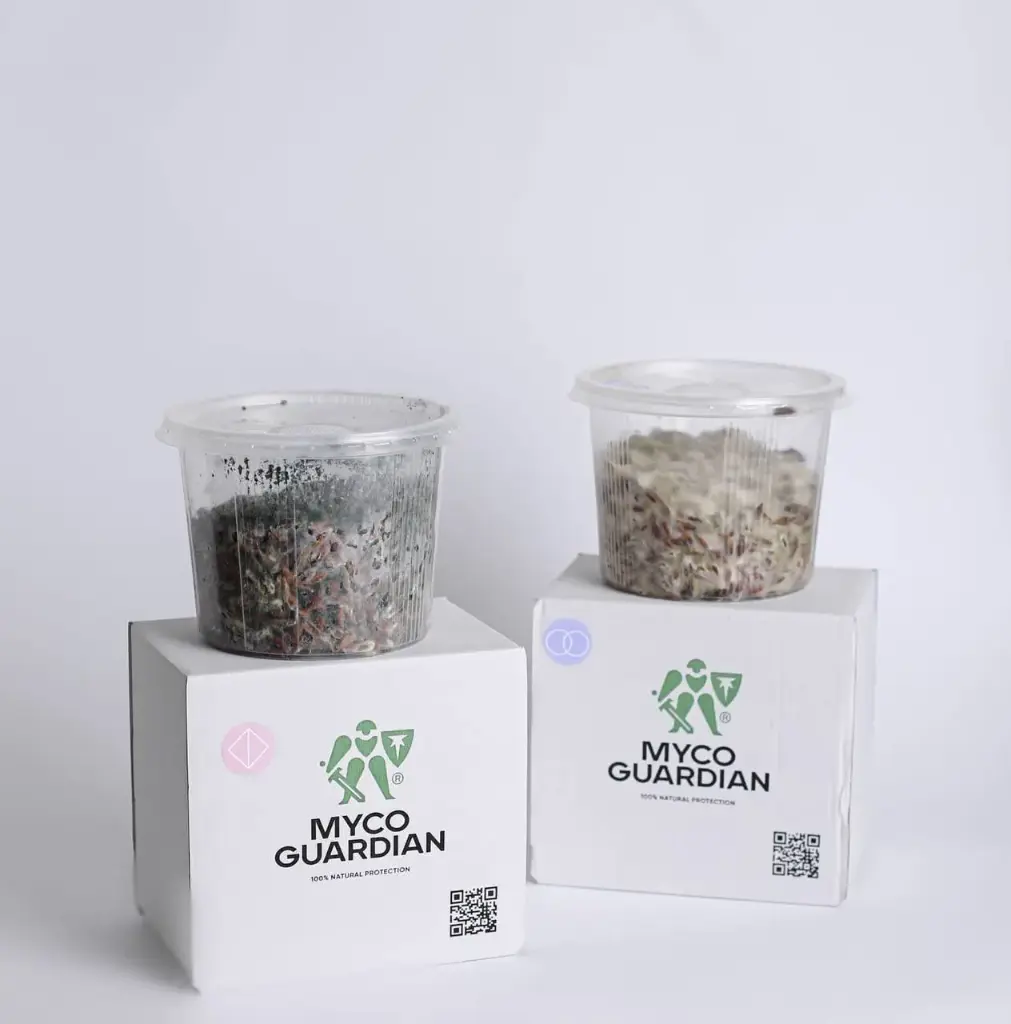 Trichoderma Mycelium Mushrooms 1