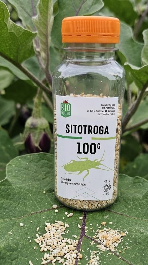 Pokarm dla owadów 1