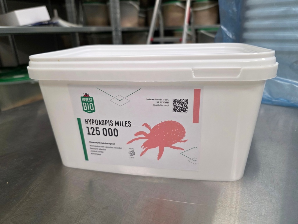 Hypoaspis miles 3
