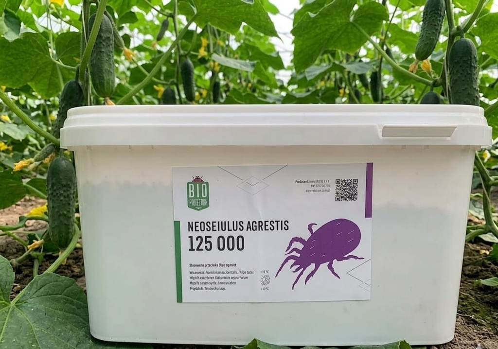 Neoseiulus agrestis 5